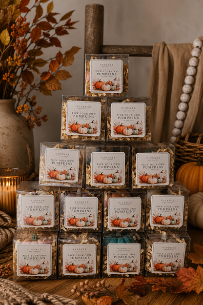 Pick Your Own Pumpkin